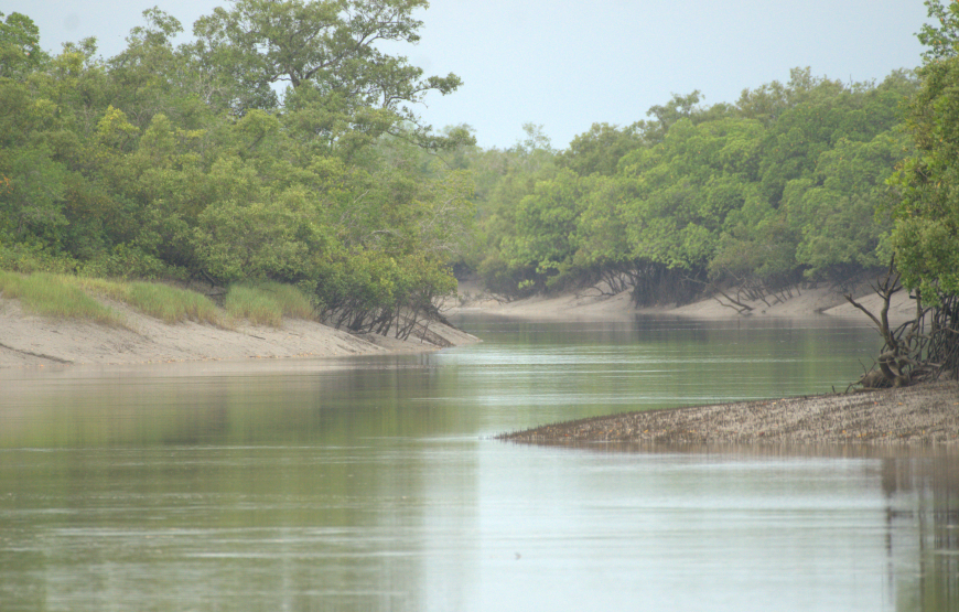 Sundarbans Tiger Reserve